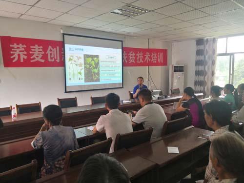 团队首席专家刘光德教授在浪坪乡议坪村开展荞麦产业扶贫技术培训